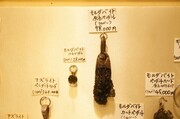 DSC02983 (小).JPG