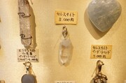 DSC03011 (小).JPG
