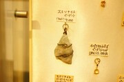 DSC03051 (小).JPG