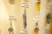 DSC03061 (小).JPG