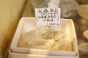 DSC05411.jpg