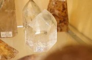 DSC05458.jpg